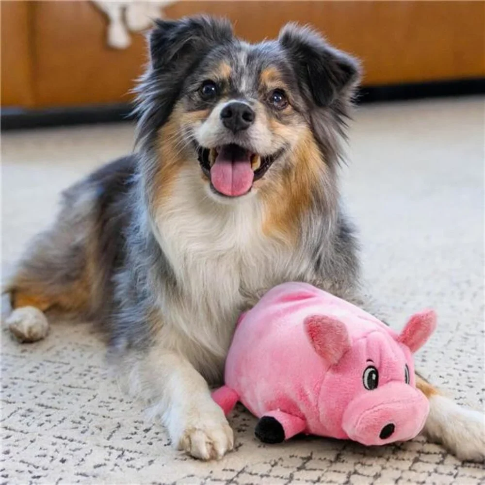Hound Fattiez Pig Plush Squeaky Dog Toy, Small